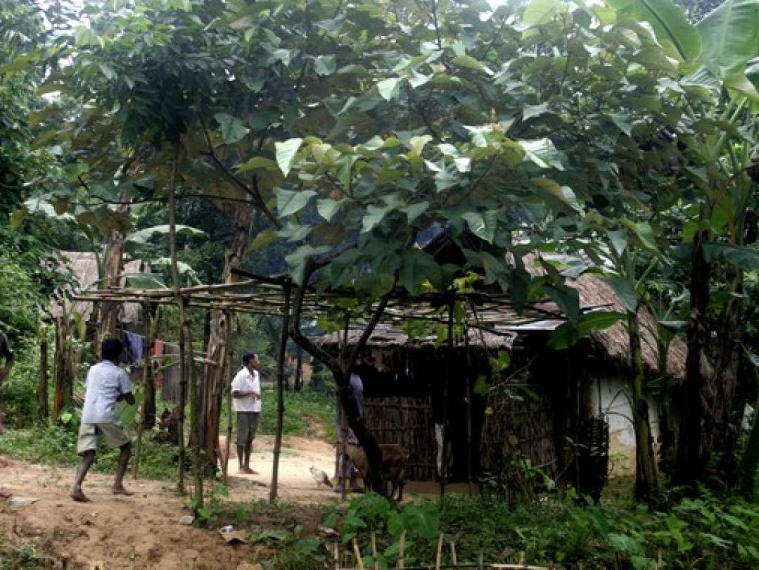 খাদিম নগর