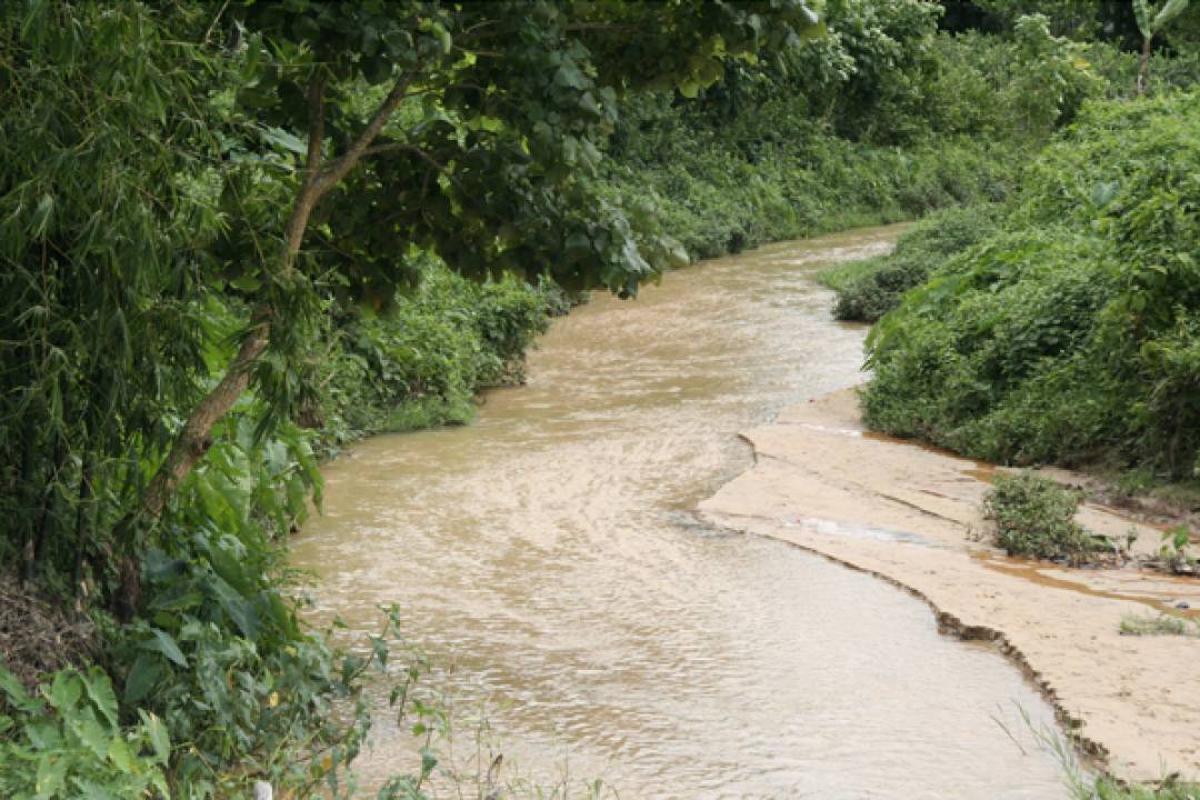 লাউয়াছড়া