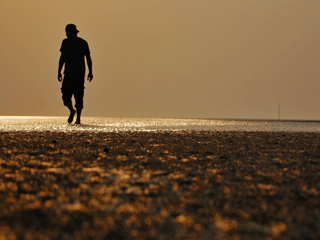 সোনার চর