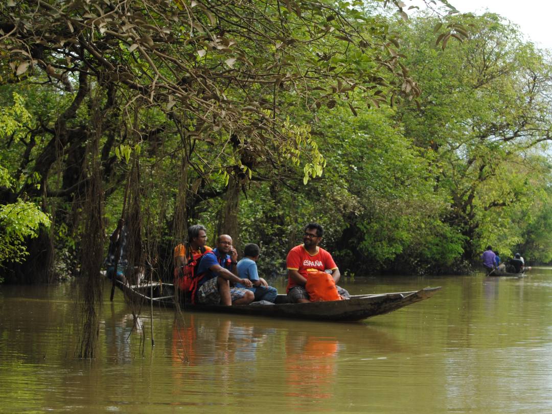 রাতারগুল টু চিকনাগুলি