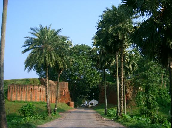 রামুর গহীন জঙ্গলে