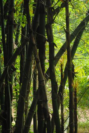 খাদিম নগর