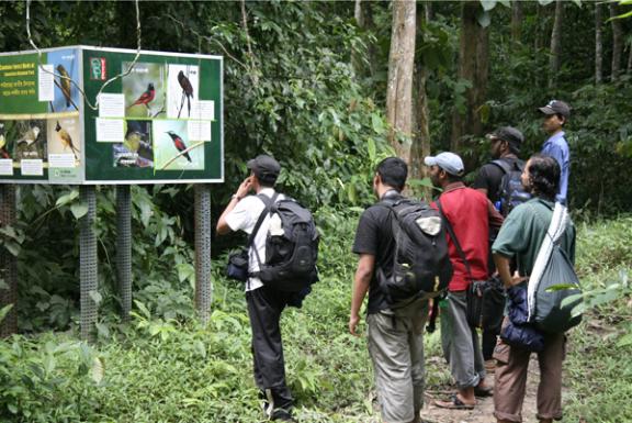 লাউয়াছড়া