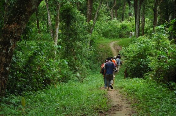 রেমা কালিঙ্গা