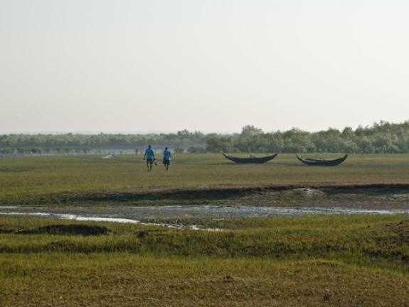 সোনাদিয়া দ্বীপ