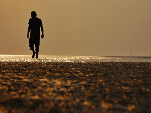 সোনার চর