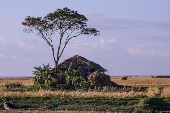 আমার দেখা নিঝুম দ্বীপ