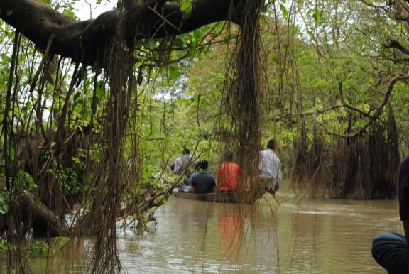 রাতারগুল টু চিকনাগুলি