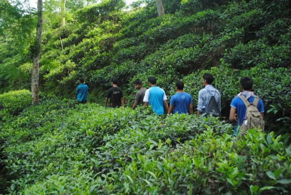 রাতারগুল টু চিকনাগুলি