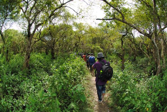 রাতারগুল টু চিকনাগুলি