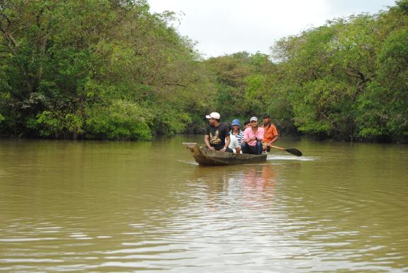 রাতারগুল টু চিকনাগুলি