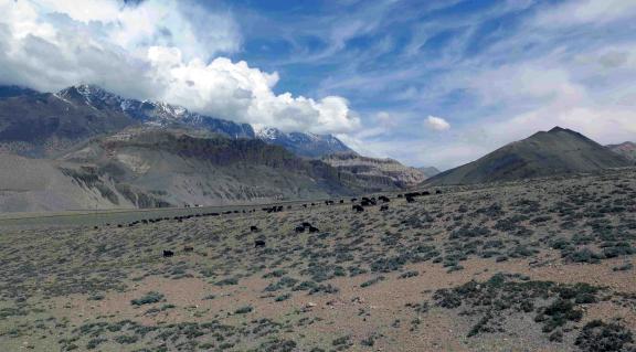 আপার মুস্তাং ট্রেক (নেপাল)