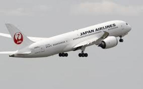 Japan Airlines                       