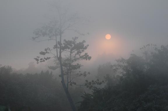 পাবলাখালী কত দূর