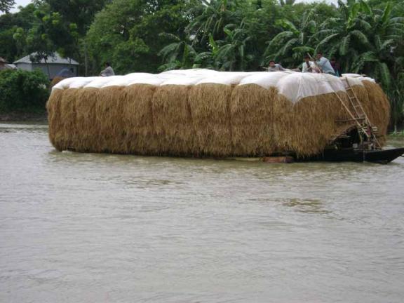 জোড়া মন্দিরের সান্নিধ্যে এক দিন