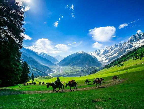 জম্মু ও কাশ্মীর