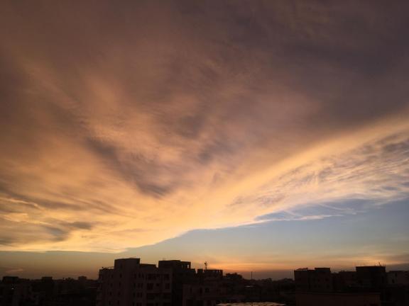 চারুকলায় চারু পাঠ