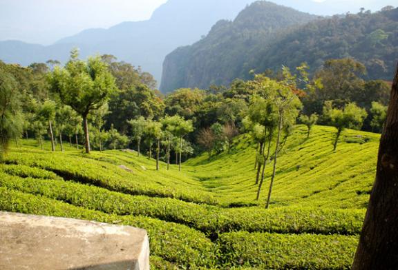 তামিলনাড়ু